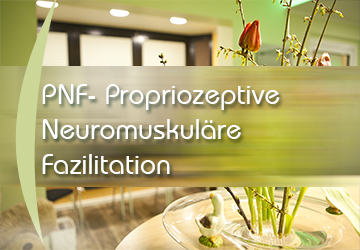 Adiuvaris - Physiotherapie Dessau - PNF Propriozeptive Neuromuskuläre Fazilitation - Klick für Details